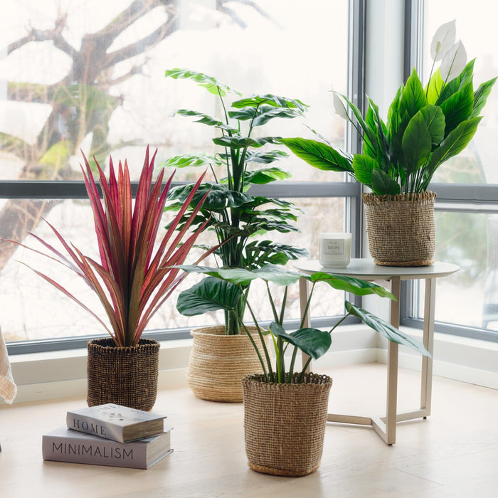 Kunstige planter vs. ekte planter – hvorfor velge bekymringsfri grønn innredning?