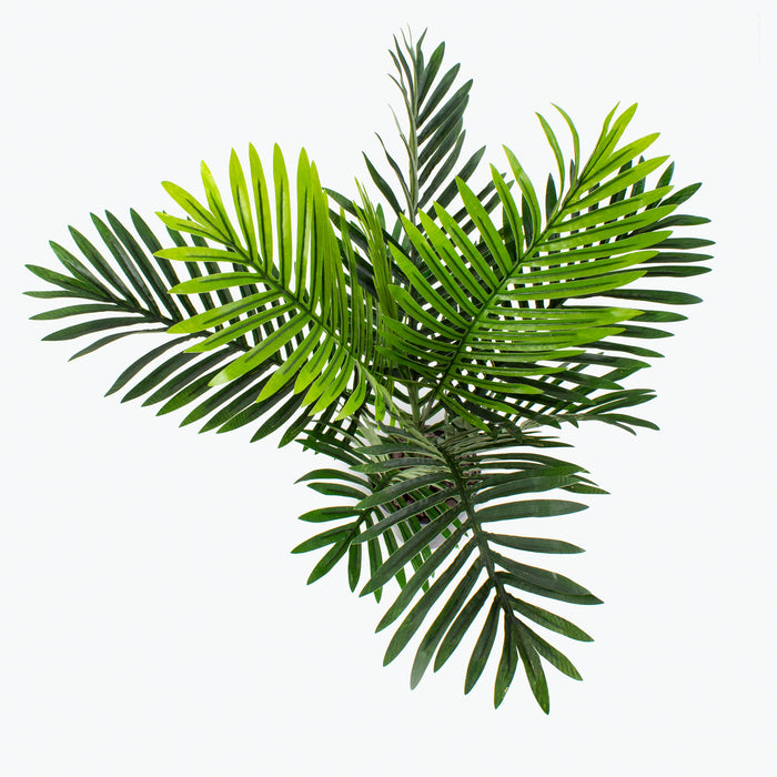 Flora Palme H: 60 cm