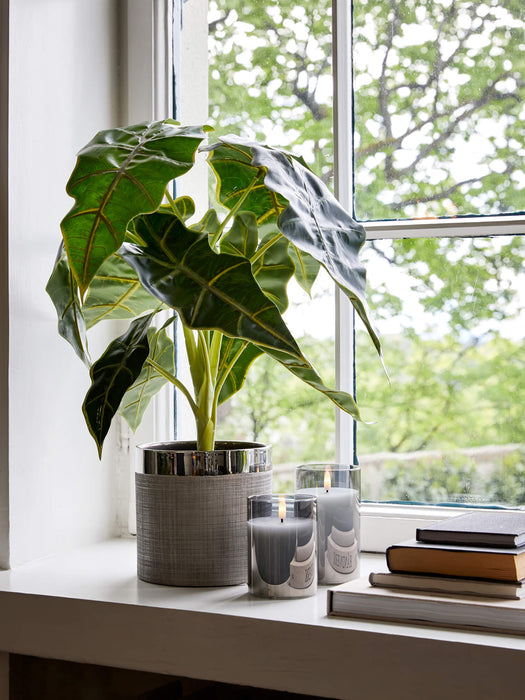 Flora Elefantøre 50 cm