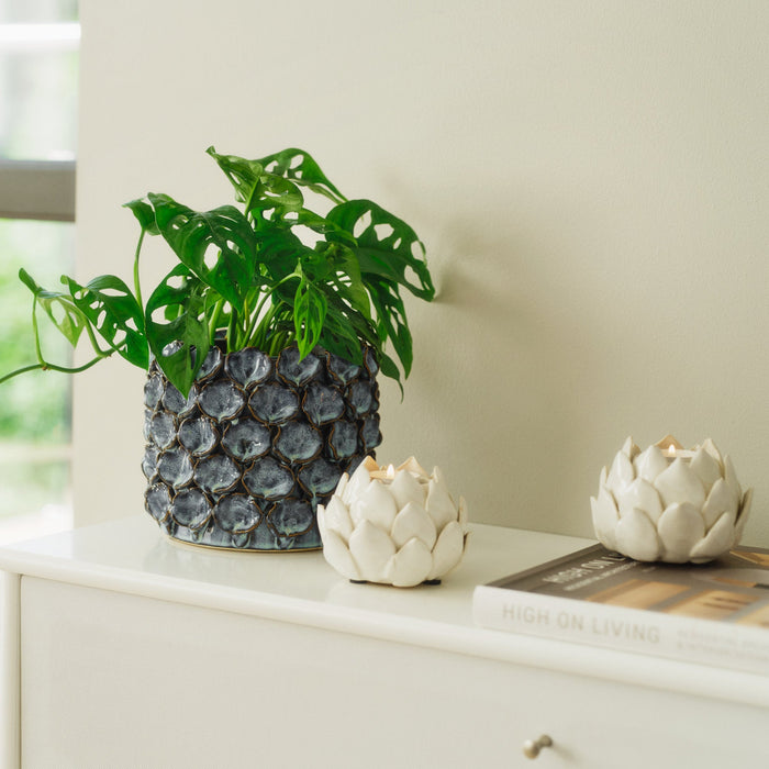 Biloba Green potteskjuler