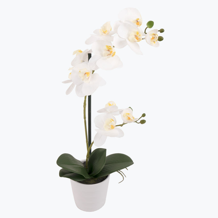 Flora Orkidé 51 cm
