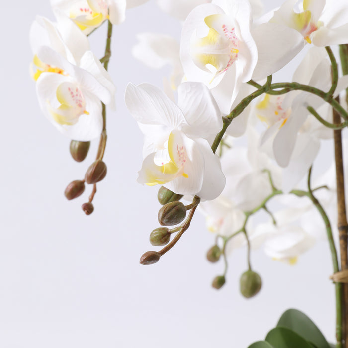 Orchid hvit 52 cm m/hvit potte