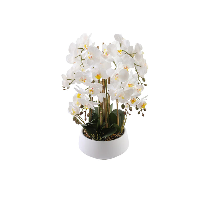 Orchid hvit 52 cm m/hvit potte