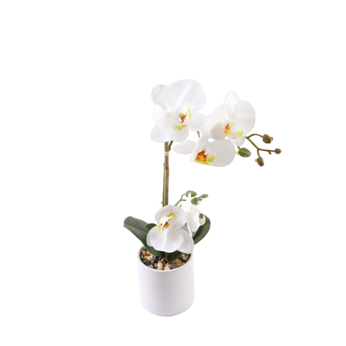 Orchid hvit 35 cm