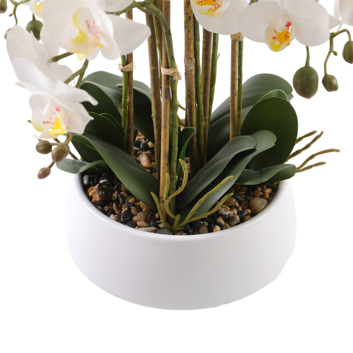 Orchid hvit 52 cm m/hvit potte