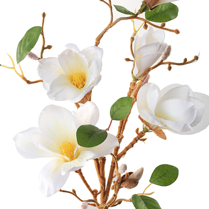 Magnoliagren hvit